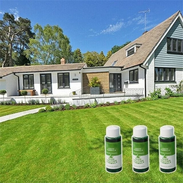 🌸2025 HOT SALE🌱grass seed spray | green your garden