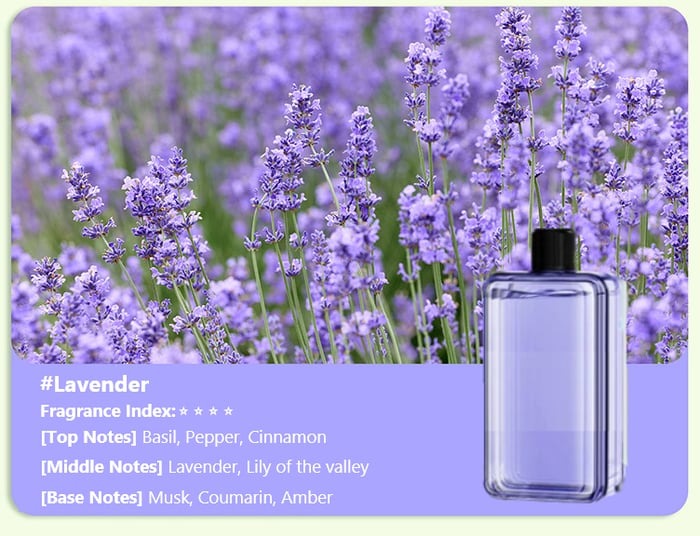 ✨Early Winter Sale 50% OFF✨ Automatic Aromatherapy Diffuser