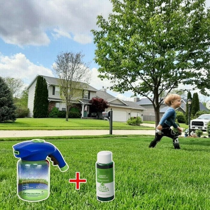 🌸2025 HOT SALE🌱grass seed spray | green your garden