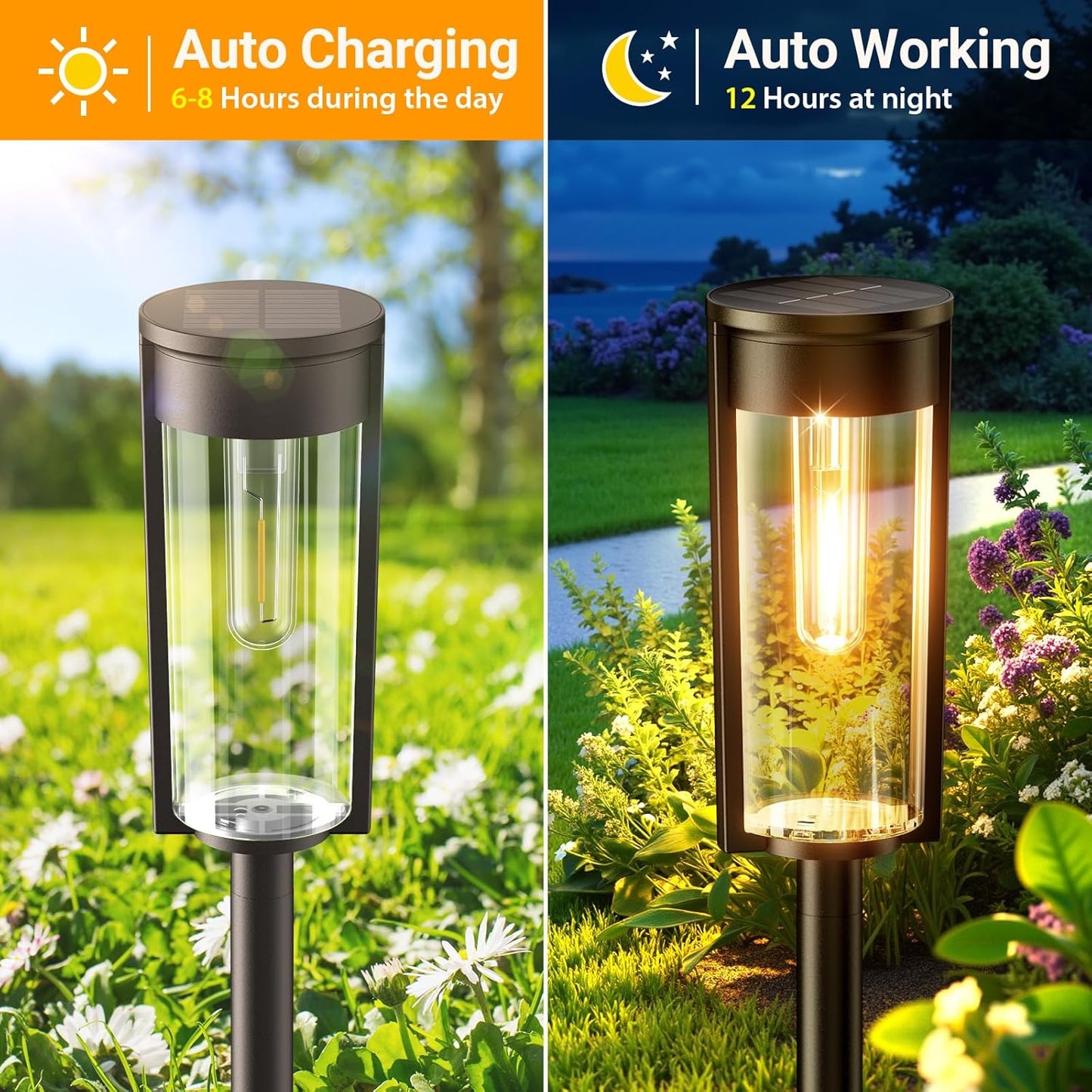 🔥Hot Sale 49% OFF✨ Solar Pathway Lights