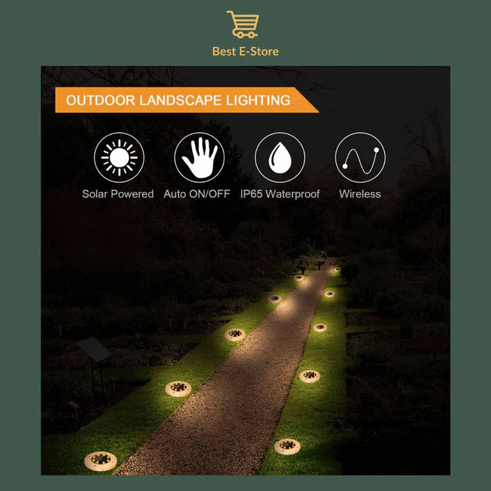 đ„New Waterproof Solar Powered Garden Lights