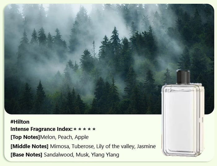 ✨Early Winter Sale 50% OFF✨ Automatic Aromatherapy Diffuser