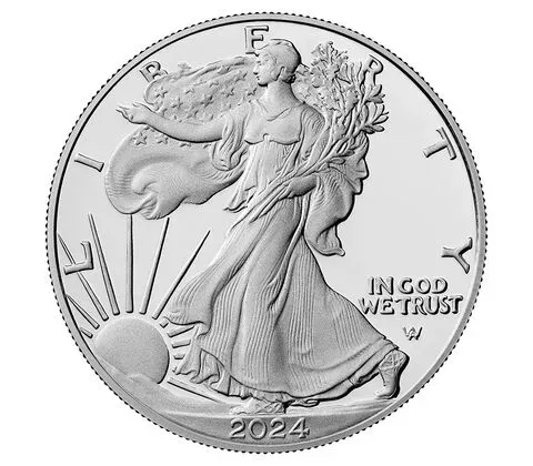 🔥LAST DAY SPECIAL SALE 50% OFF🔥 American Eagle 2024 Silver Proof Coin