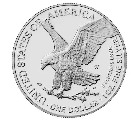 🔥LAST DAY SPECIAL SALE 50% OFF🔥 American Eagle 2024 Silver Proof Coin