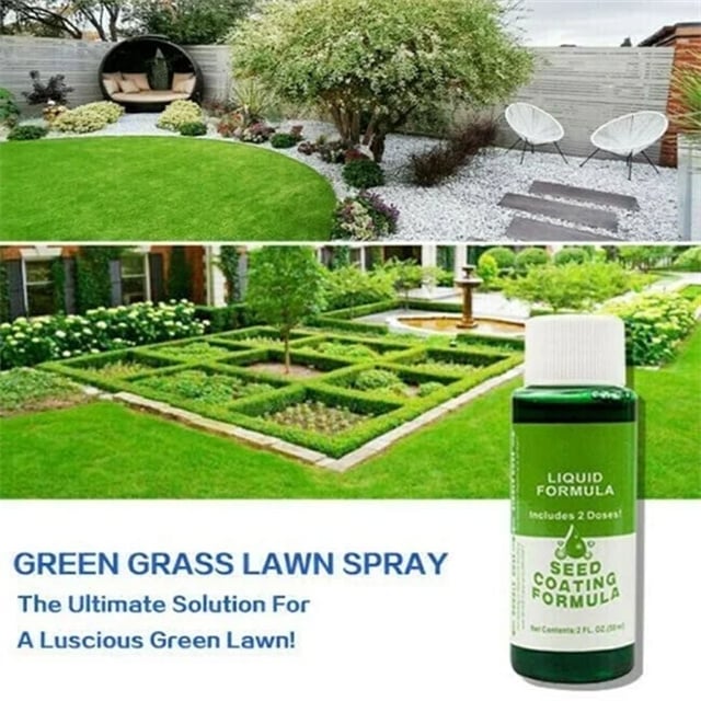🌸2025 HOT SALE🌱grass seed spray | green your garden
