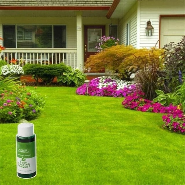🌸2025 HOT SALE🌱grass seed spray | green your garden