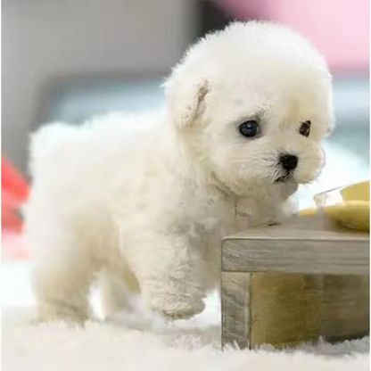 🎁Hottest in 2025🐶 My Realistic Robot Puppy